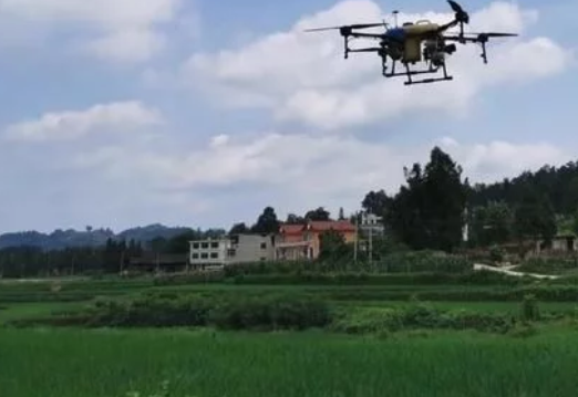 萬(wàn)山水稻病蟲害防治用上了&ldquo;無(wú)人機(jī)&rdquo;